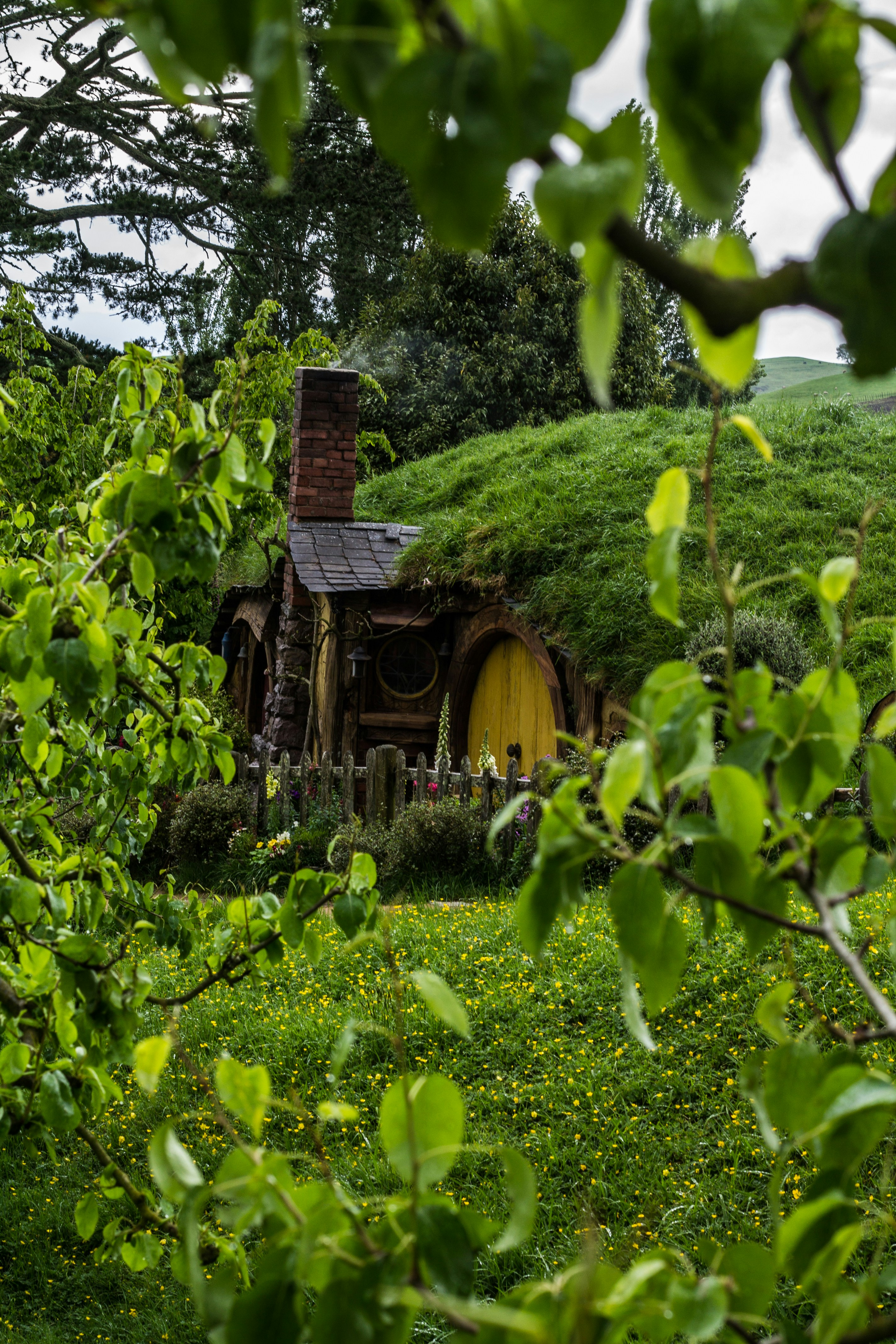 Grren Pictures Download Free Images On Unsplash