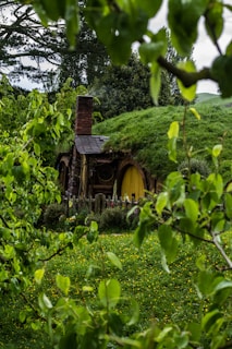 brown concrete house