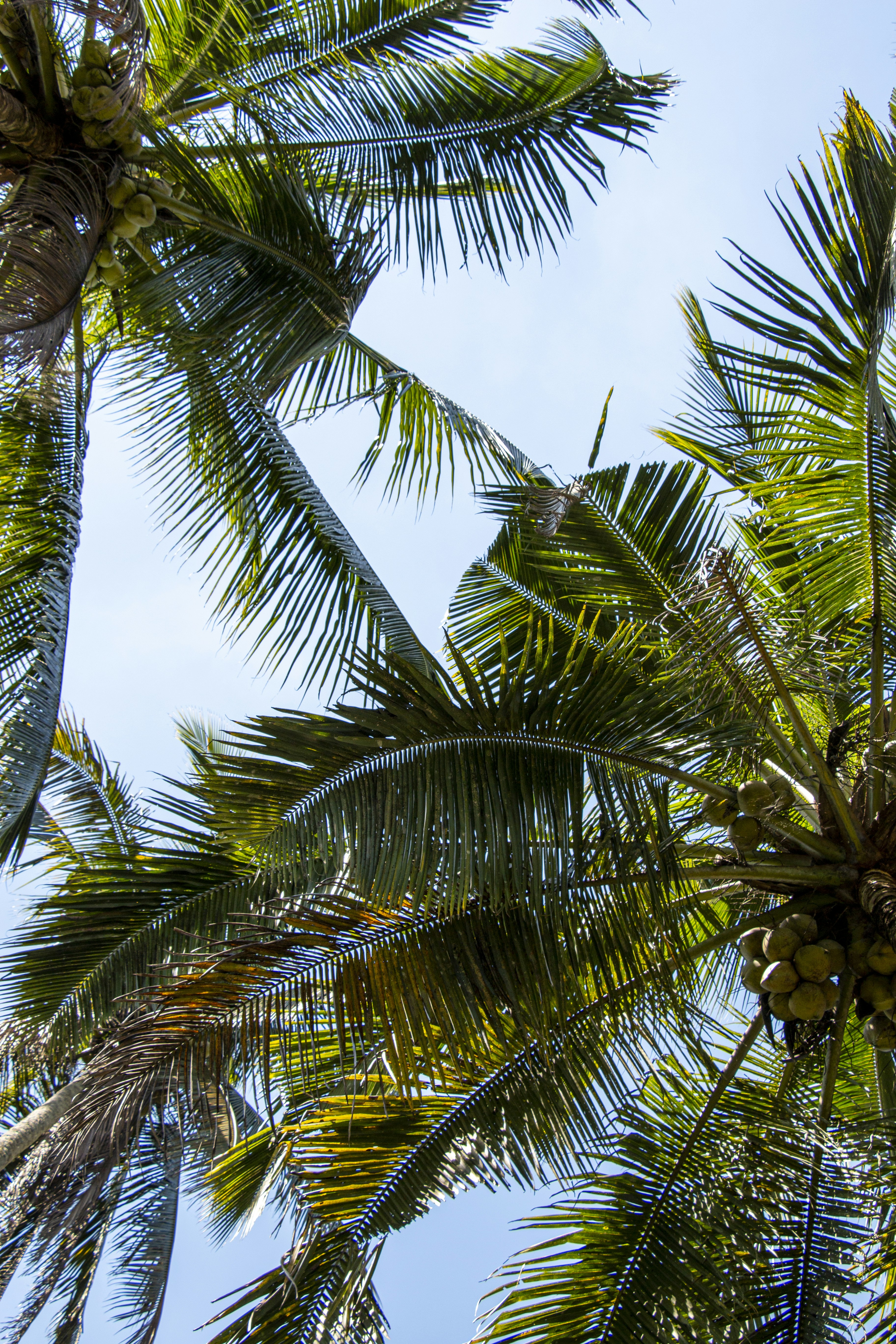 Photo by florianschmid