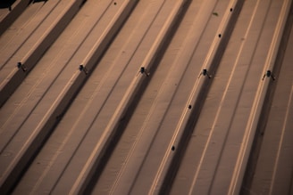 A section of a metal roof characterized by parallel lines and screws securing the panels. The surface appears smooth and reflects a warm, golden hue likely from sun exposure.