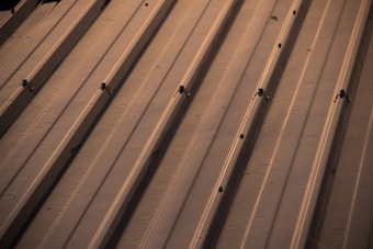 A section of a metal roof characterized by parallel lines and screws securing the panels. The surface appears smooth and reflects a warm, golden hue likely from sun exposure.