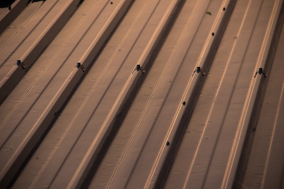 A section of a metal roof characterized by parallel lines and screws securing the panels. The surface appears smooth and reflects a warm, golden hue likely from sun exposure.