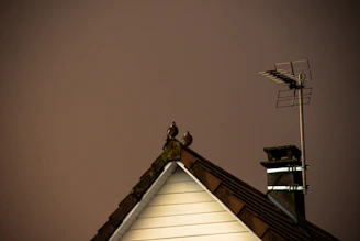 A technician installing bird spikes on a Milan rooftop to deter pigeons.