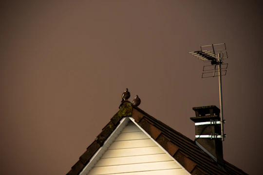A technician installing bird spikes on a Milan rooftop to deter pigeons.