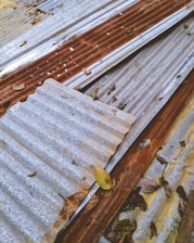 Multiple sheets of corrugated metal, some showing signs of rust and age, are scattered on the ground. Dried leaves and small debris are visible on top of the metal surfaces.