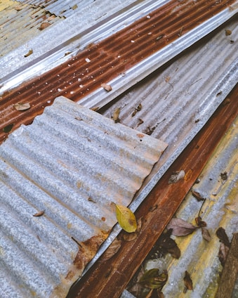Multiple sheets of corrugated metal, some showing signs of rust and age, are scattered on the ground. Dried leaves and small debris are visible on top of the metal surfaces.