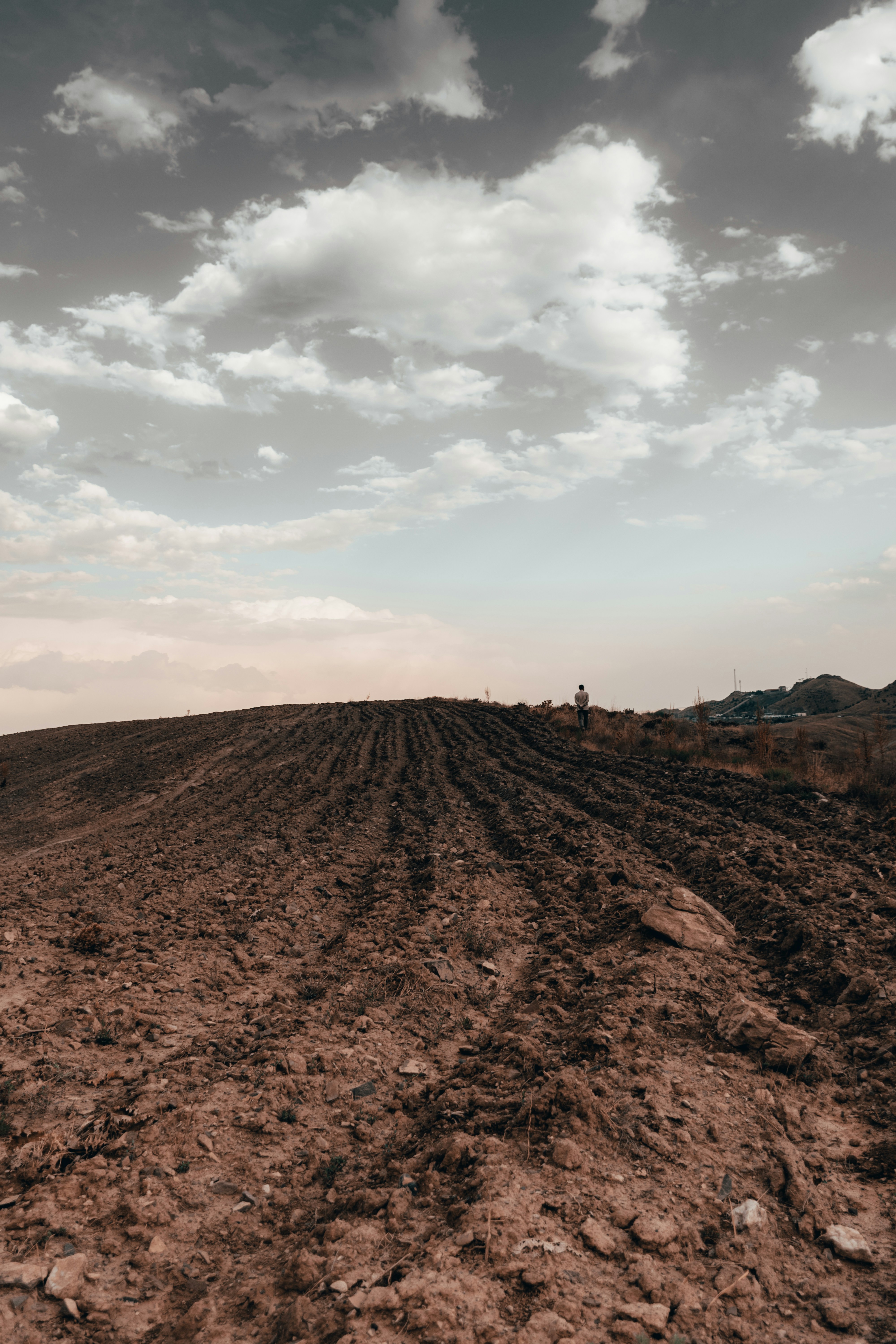 Photo by alireza121