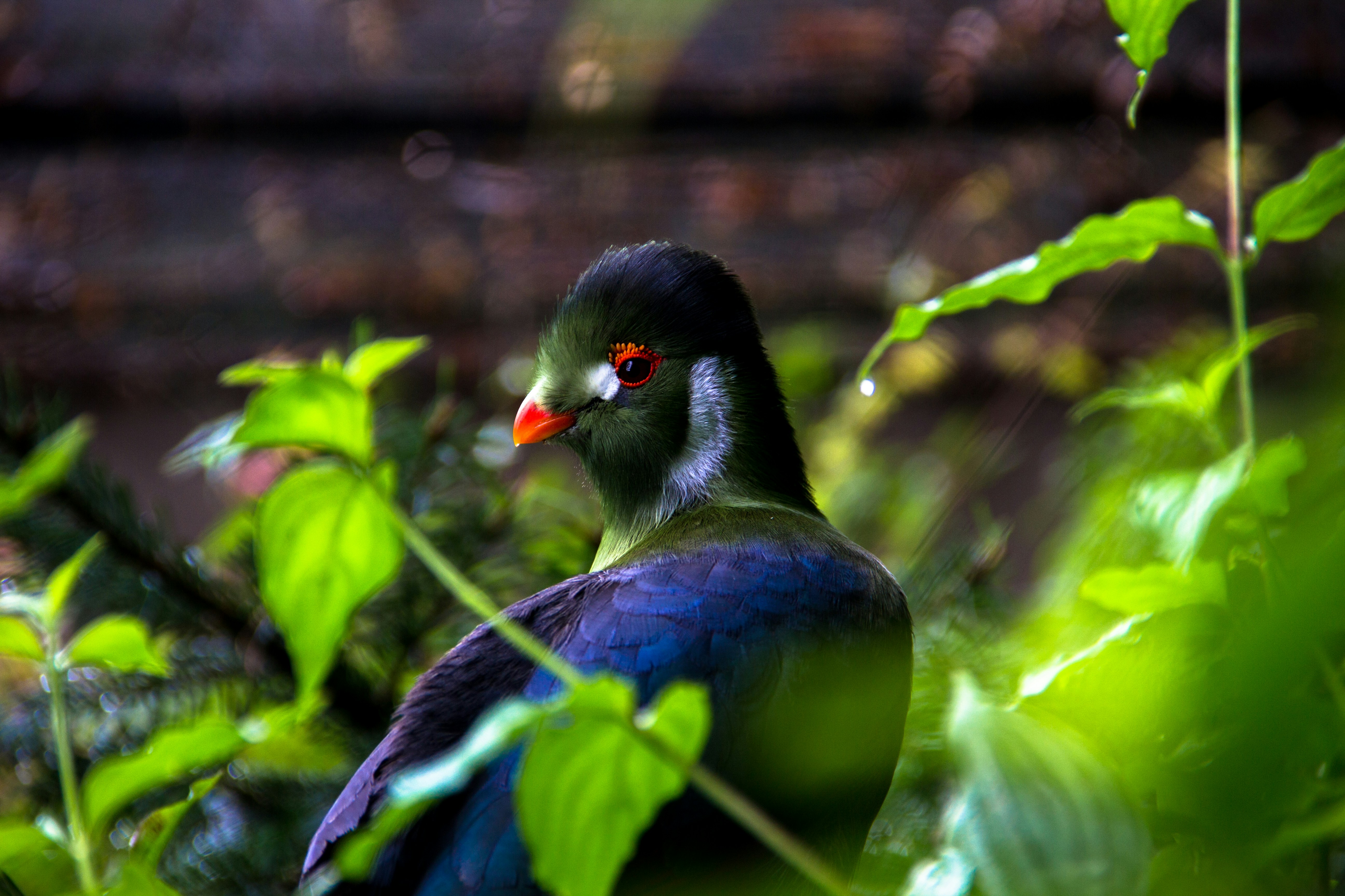 Photo by ourselp