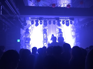 A lively concert scene with silhouetted figures of a DJ or performer standing on a stage surrounded by bright lights and electronic equipment. A crowd of people watches in front, casting shadows.