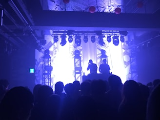 A lively concert scene with silhouetted figures of a DJ or performer standing on a stage surrounded by bright lights and electronic equipment. A crowd of people watches in front, casting shadows.
