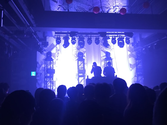 A lively concert scene with silhouetted figures of a DJ or performer standing on a stage surrounded by bright lights and electronic equipment. A crowd of people watches in front, casting shadows.