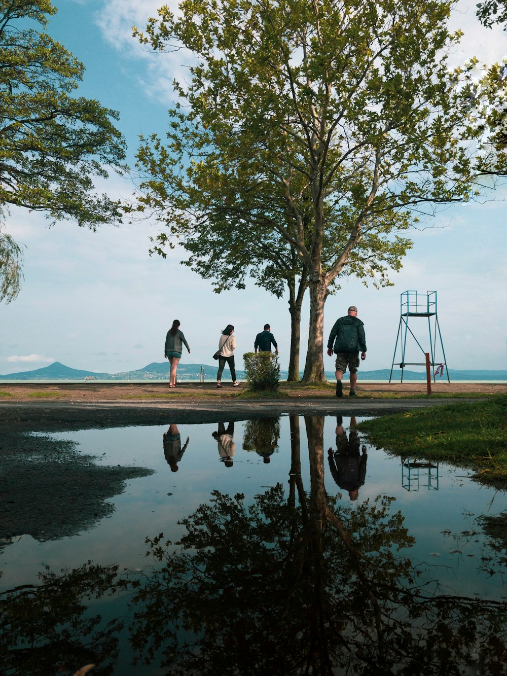 four people standing under tree near body of water