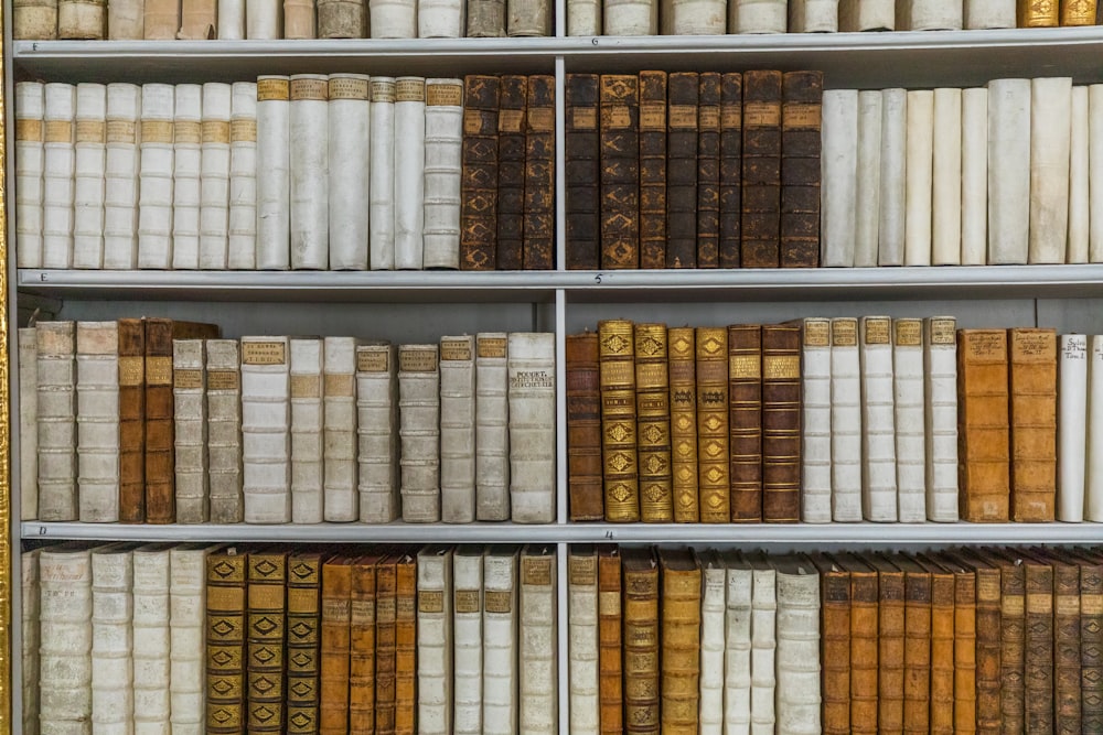 books in shelf