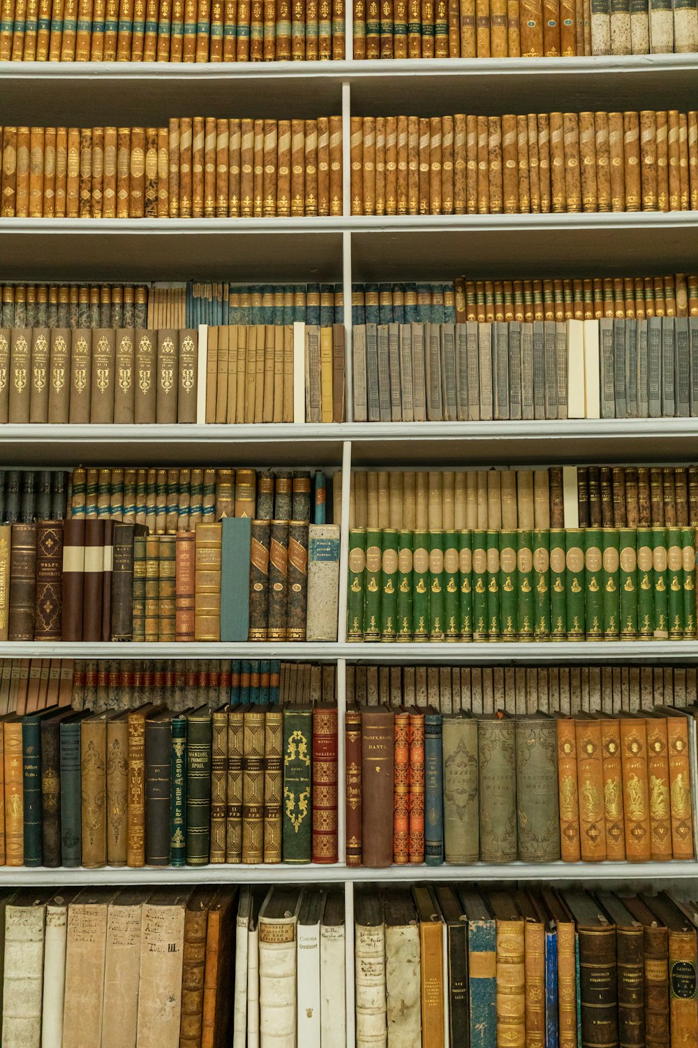 book lot inside shelves