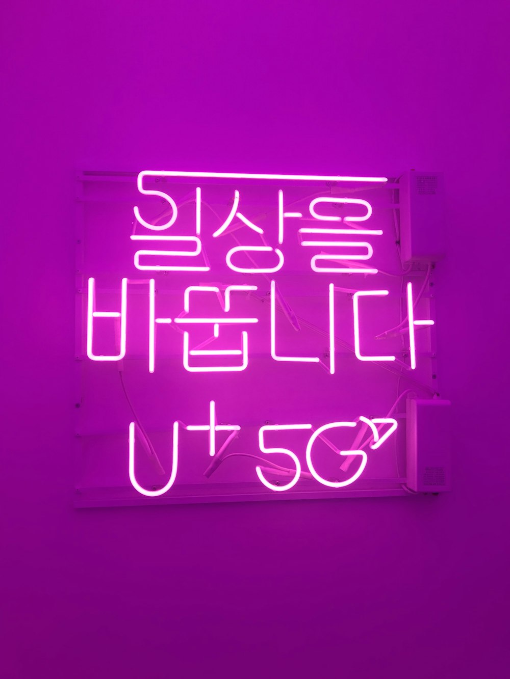 turned-on purple neon light signage