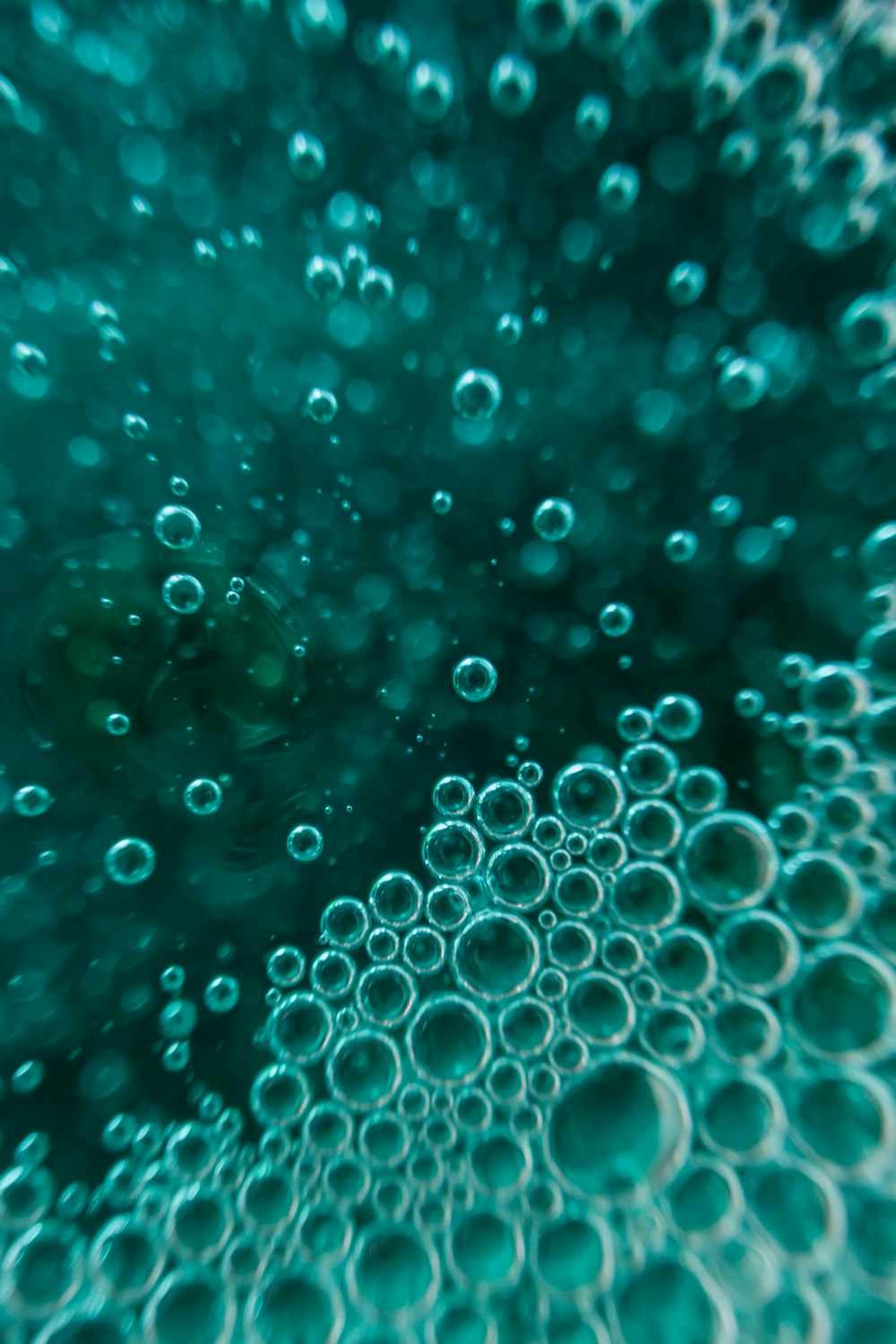 water bubbles in closeup photo