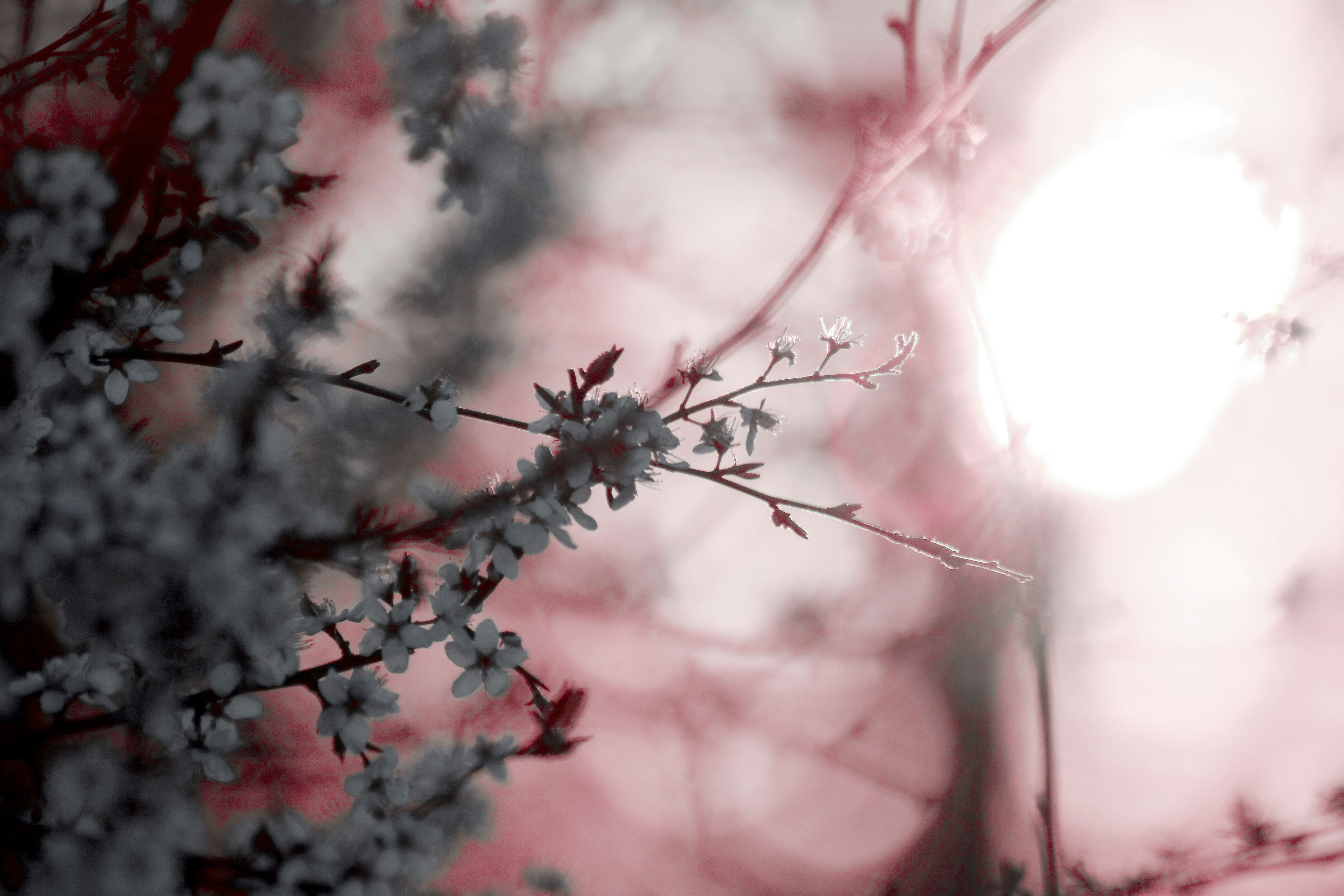 Photo by liam_arning