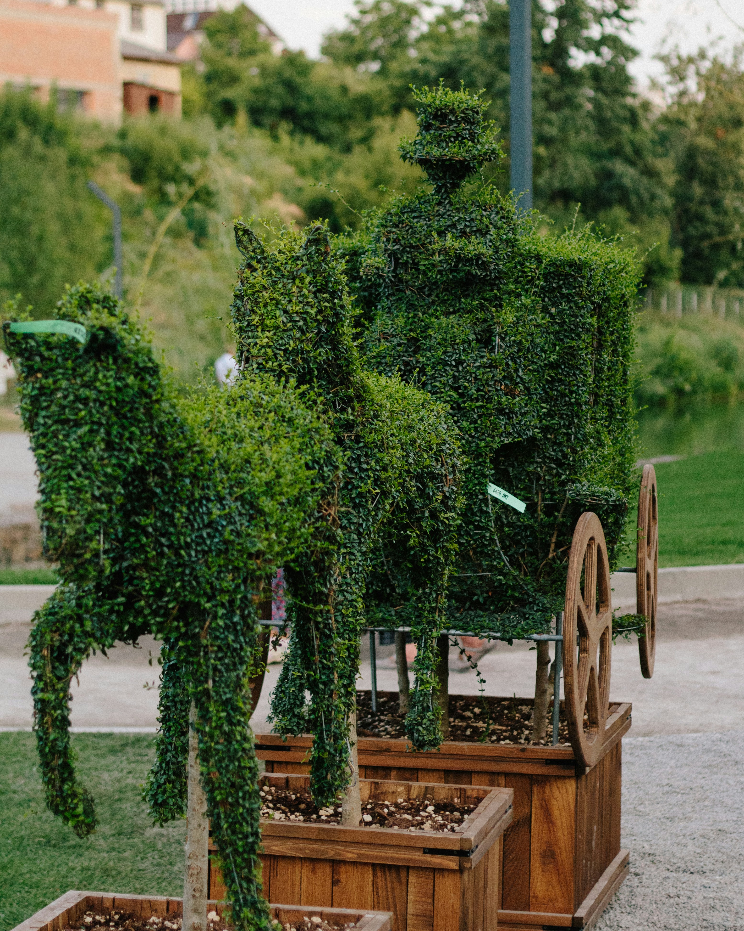 Cheval vert et calèche décor topiaire photo – Photo En plein air ...