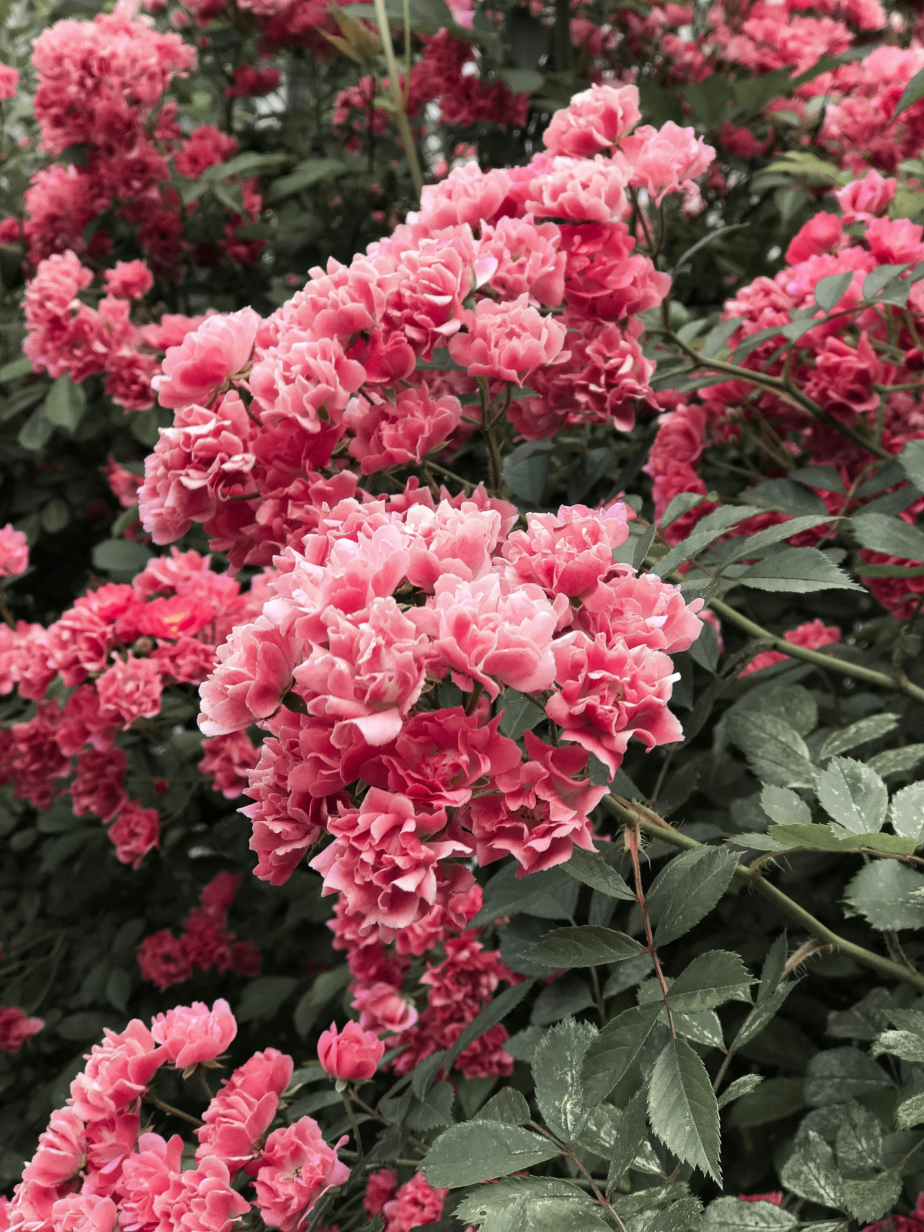 Photo by christina_ch