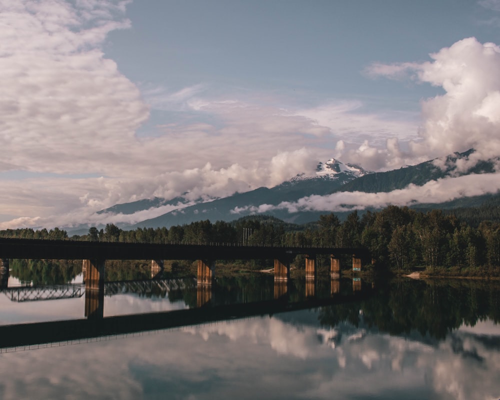 architectural photography of black bridge