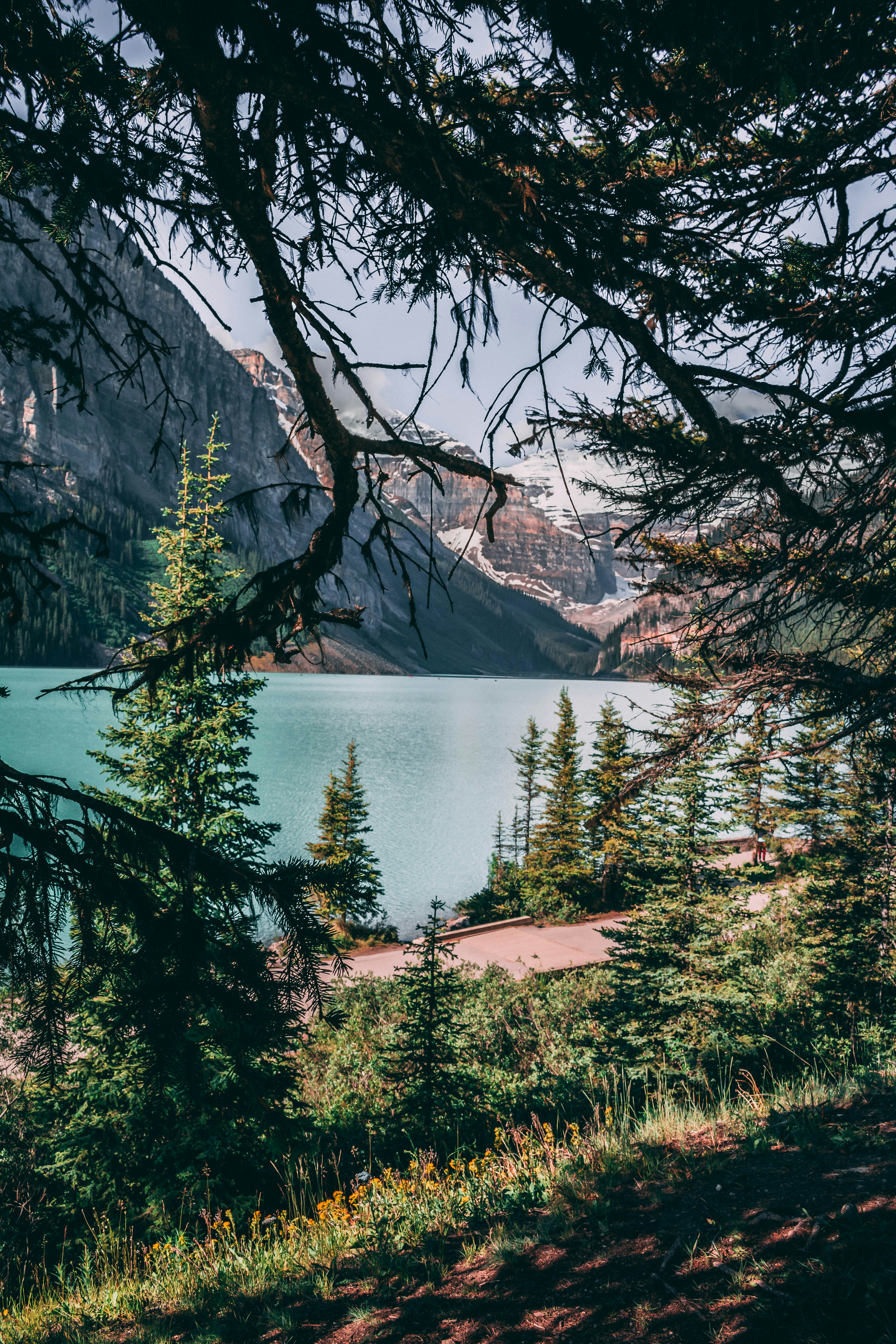 Photo by danielhurst