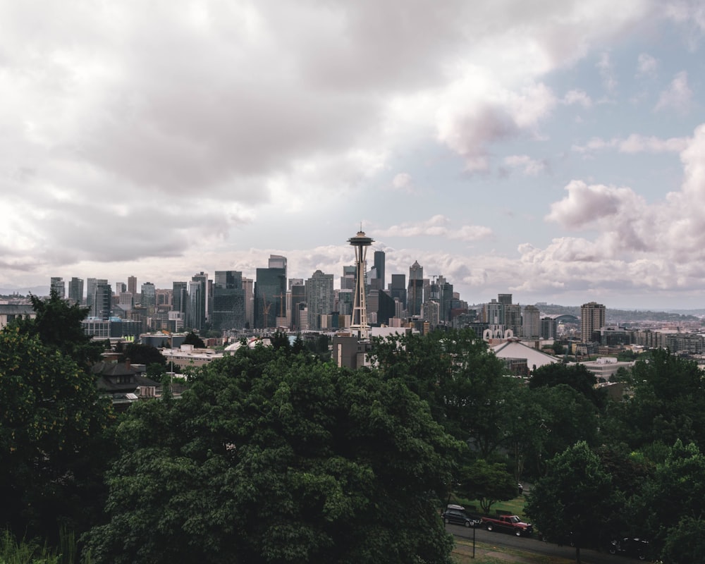 gray high-rise buildings near trees