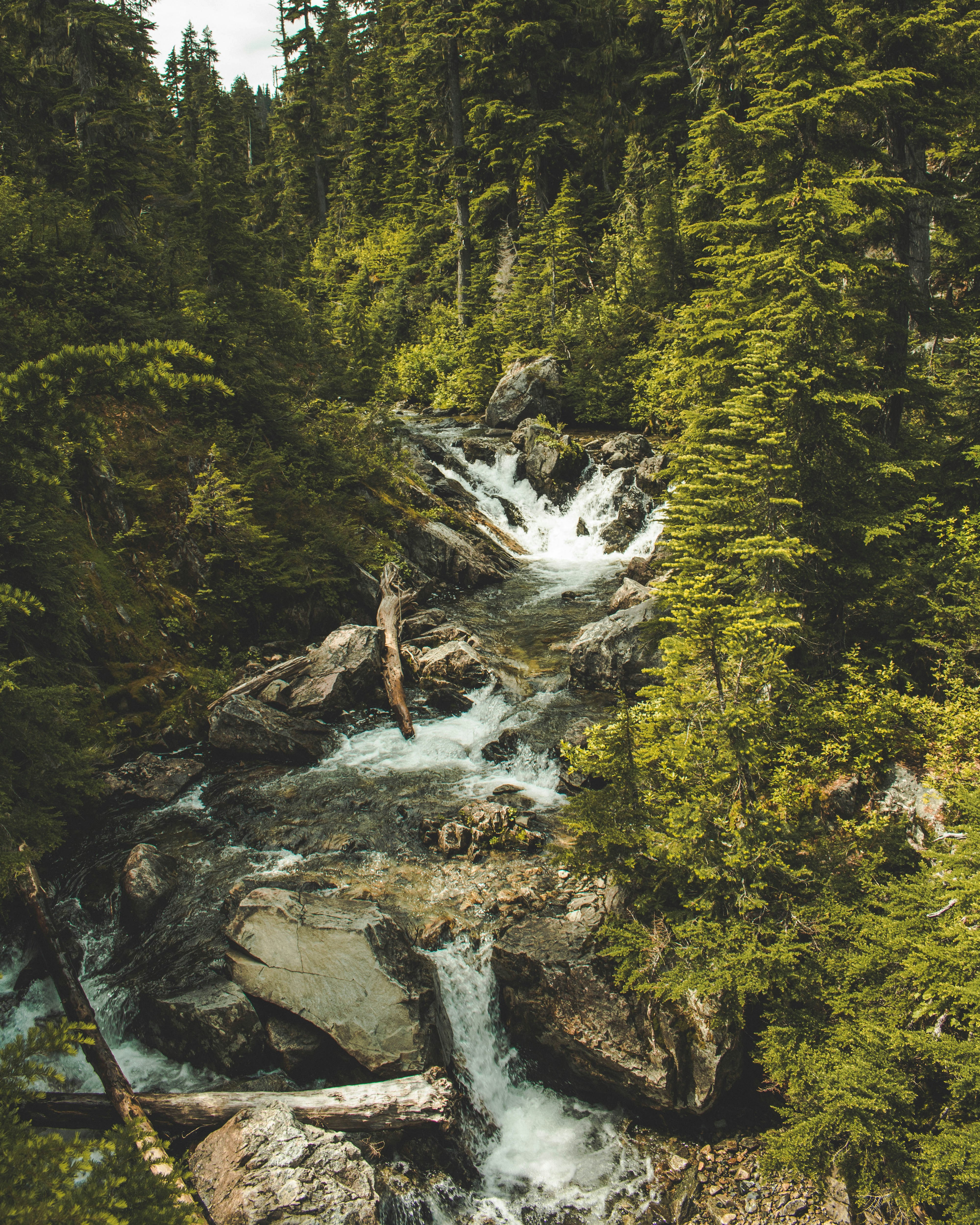 Photo by danielhurst