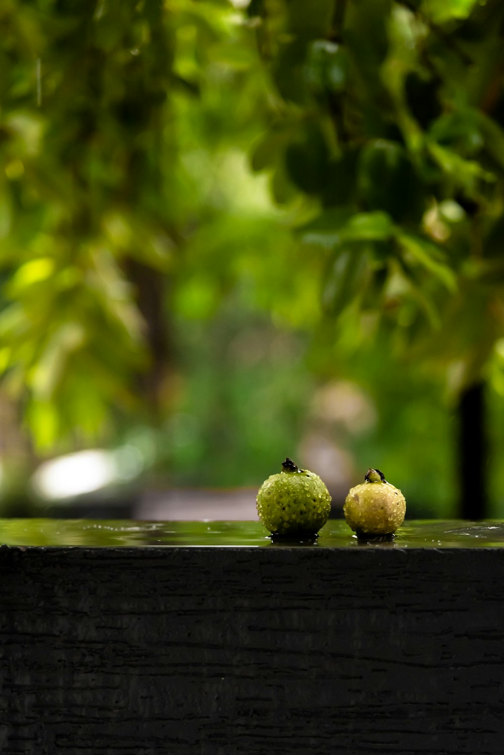 two fruits on wooden surface