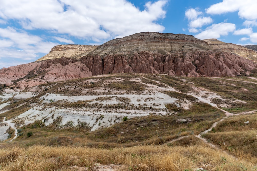 canyon during daytime