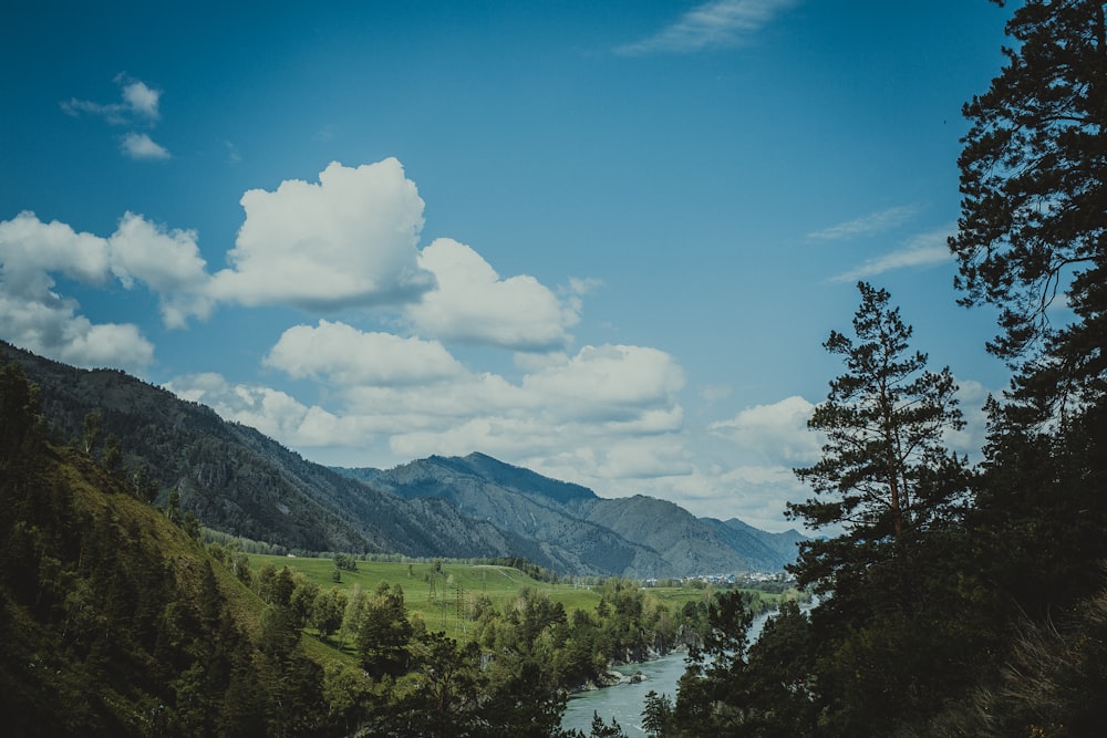 lake between trees at daytime