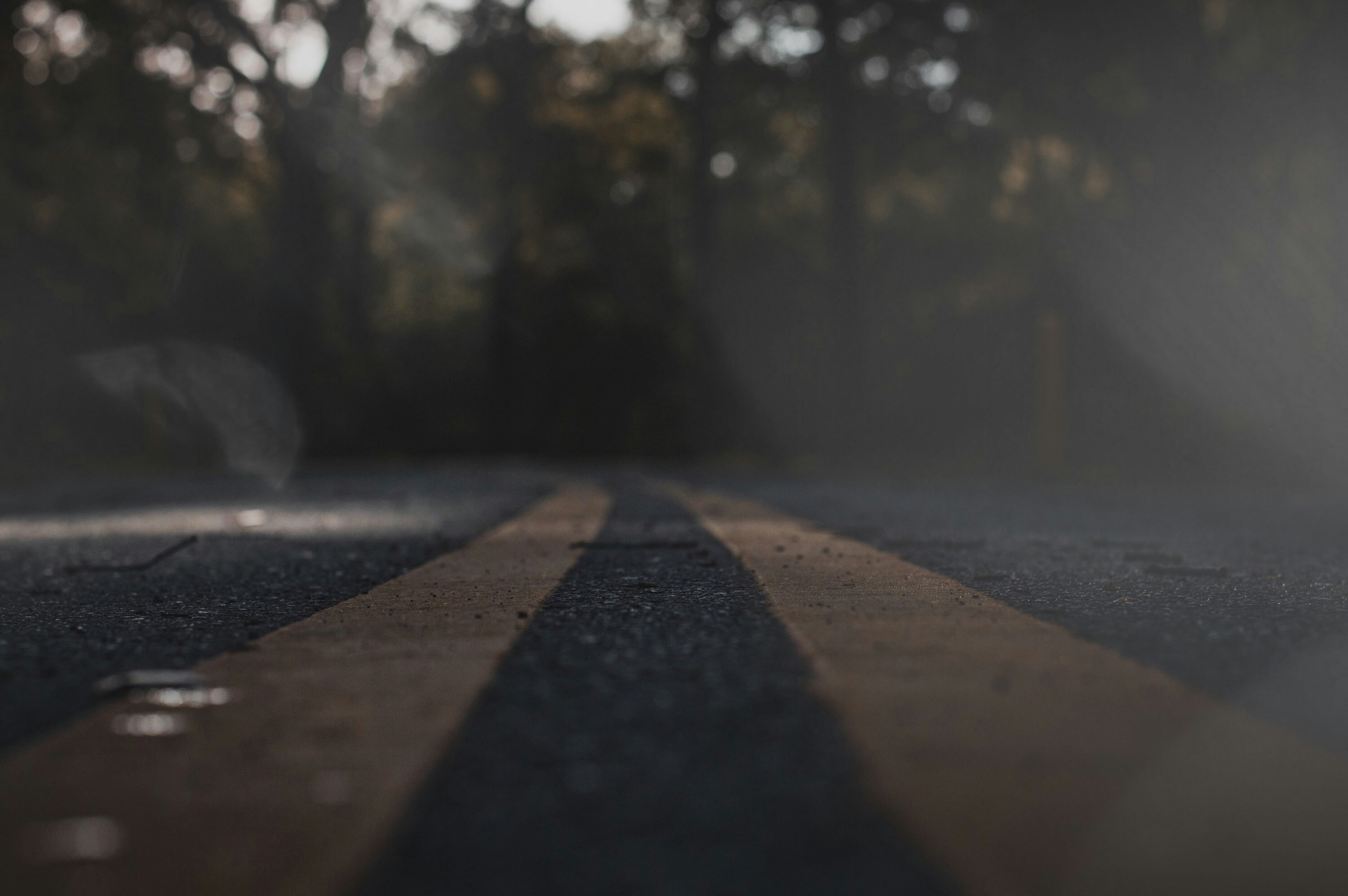 Photo by thedandygandy