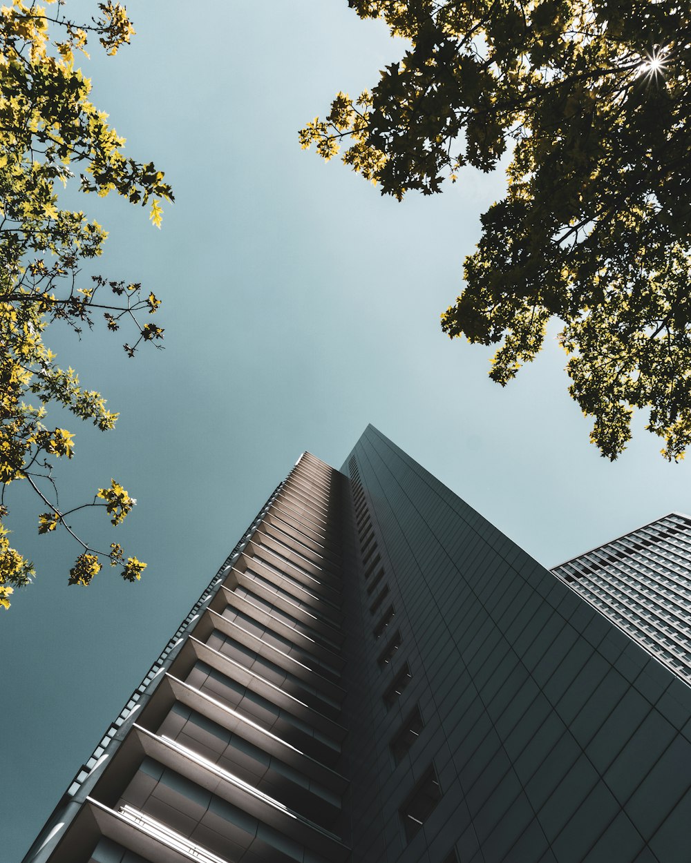 looking up at a tall building from below