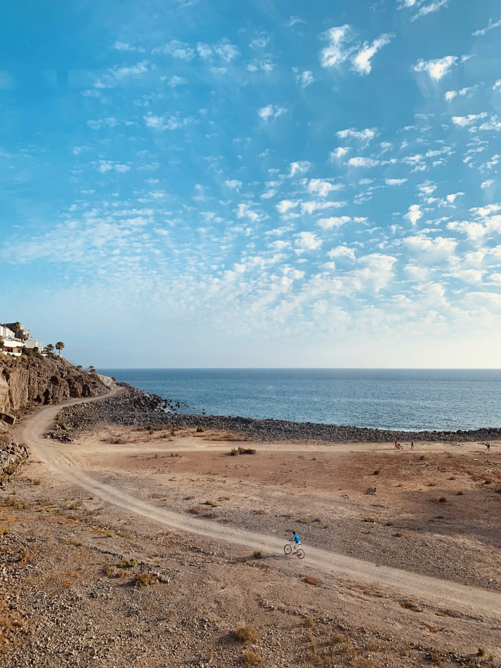 seashore during daytime