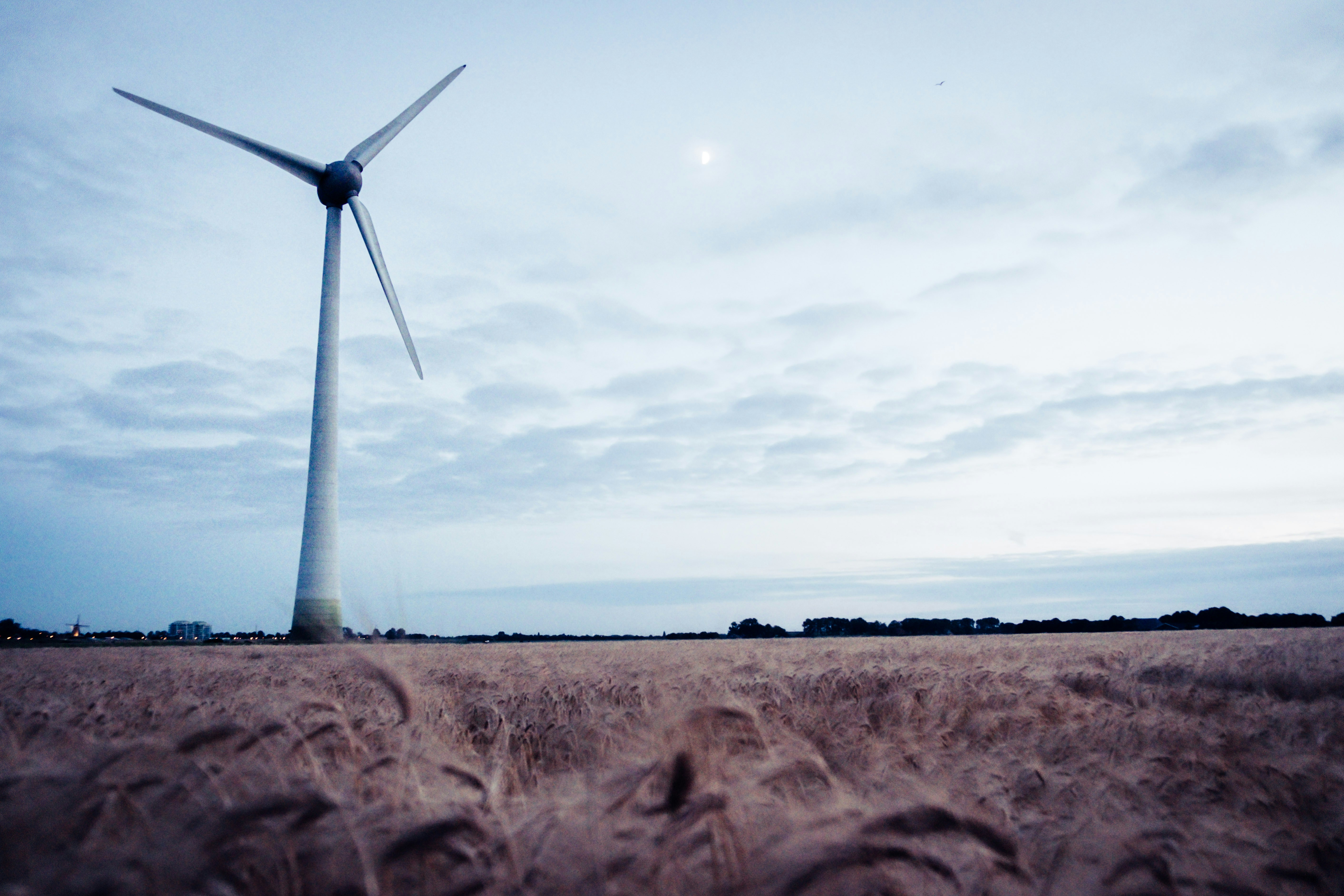 Photo by moritz_photography