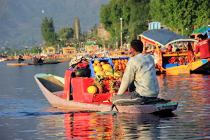 Srinagar