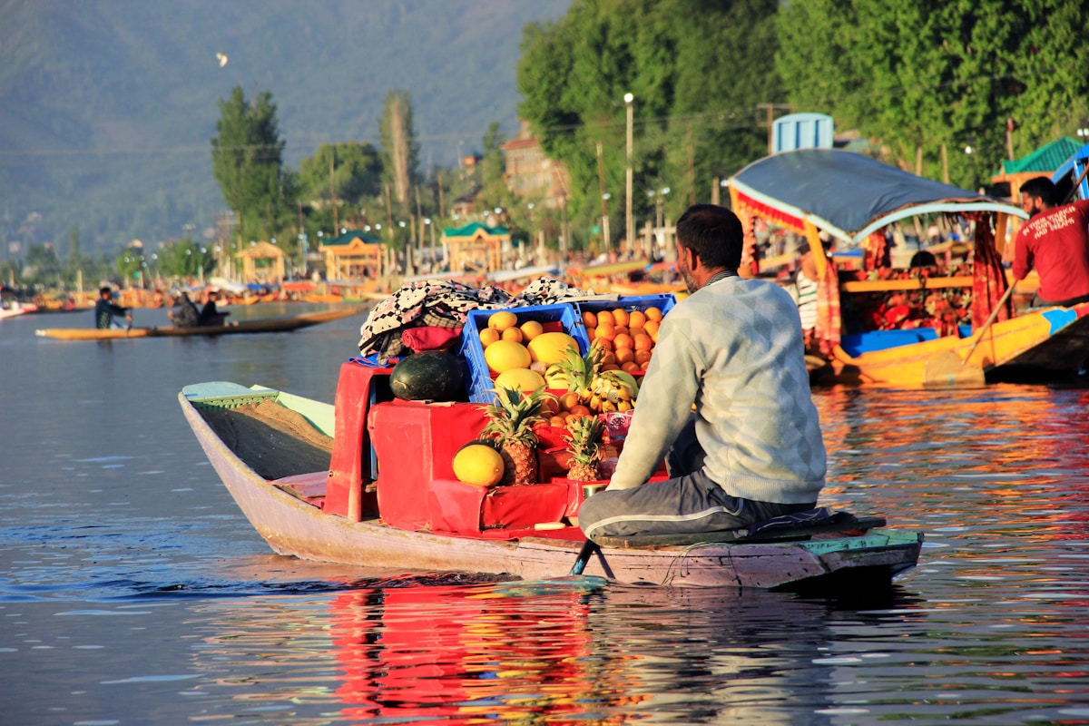 Floating vegetable market, Dal Lake