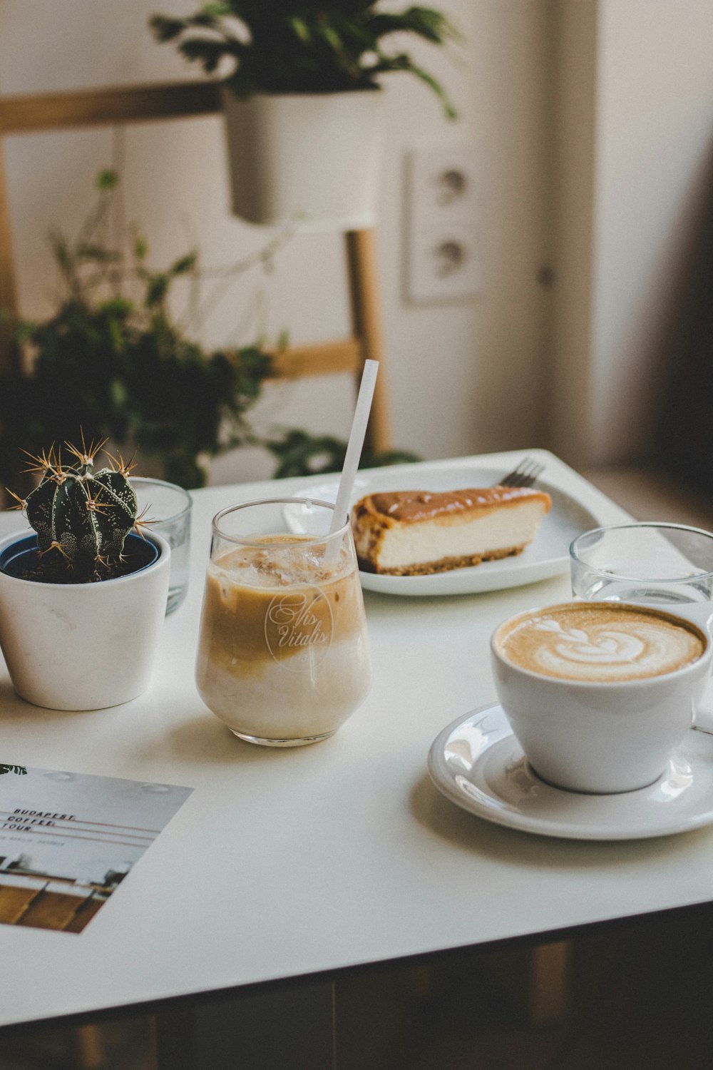 sliced cake near cappuccino cactus plant on white table