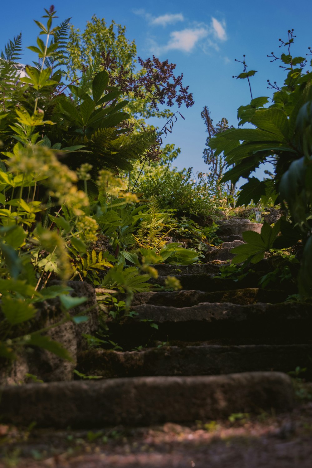 green trees