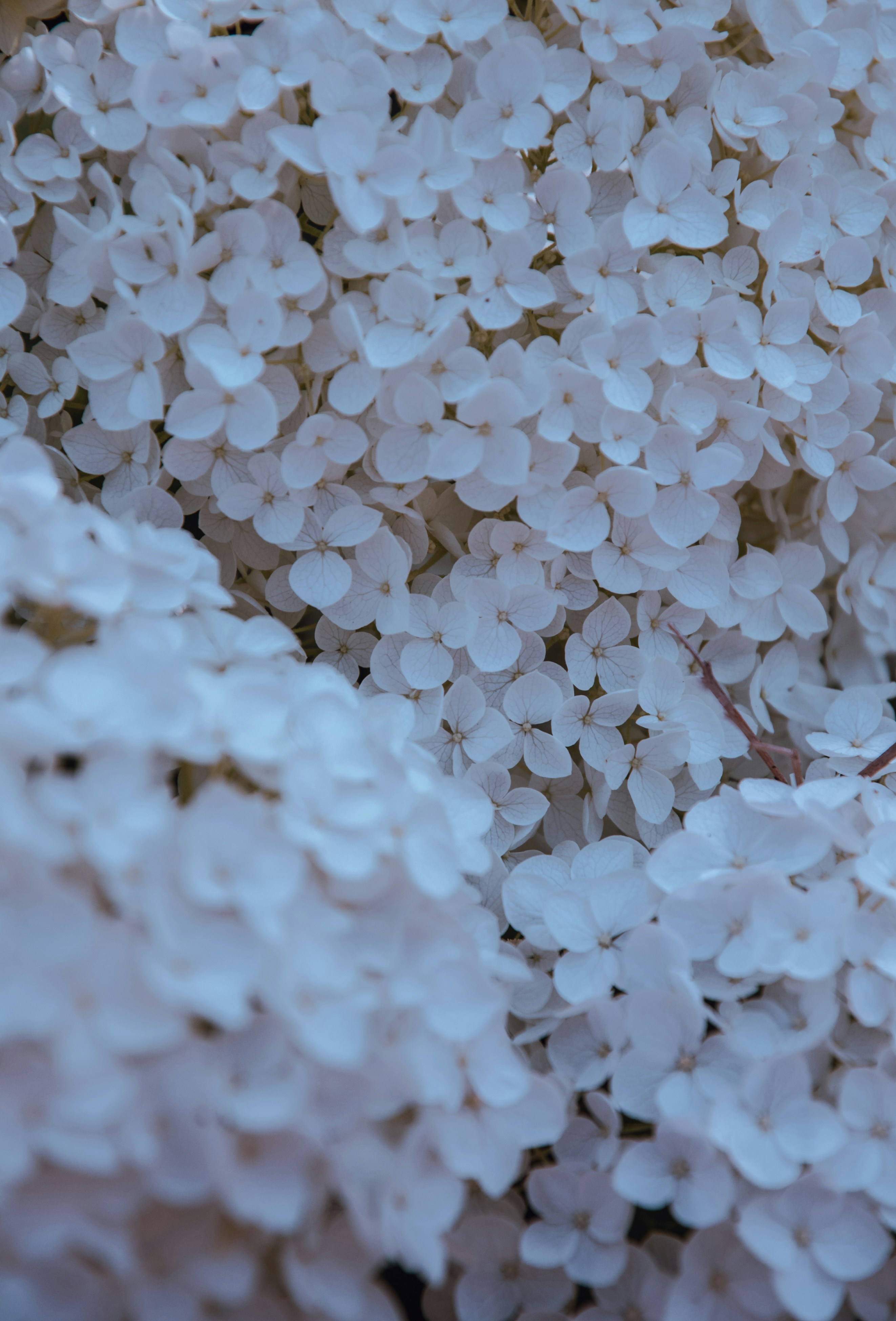 Photo by katerinalandia