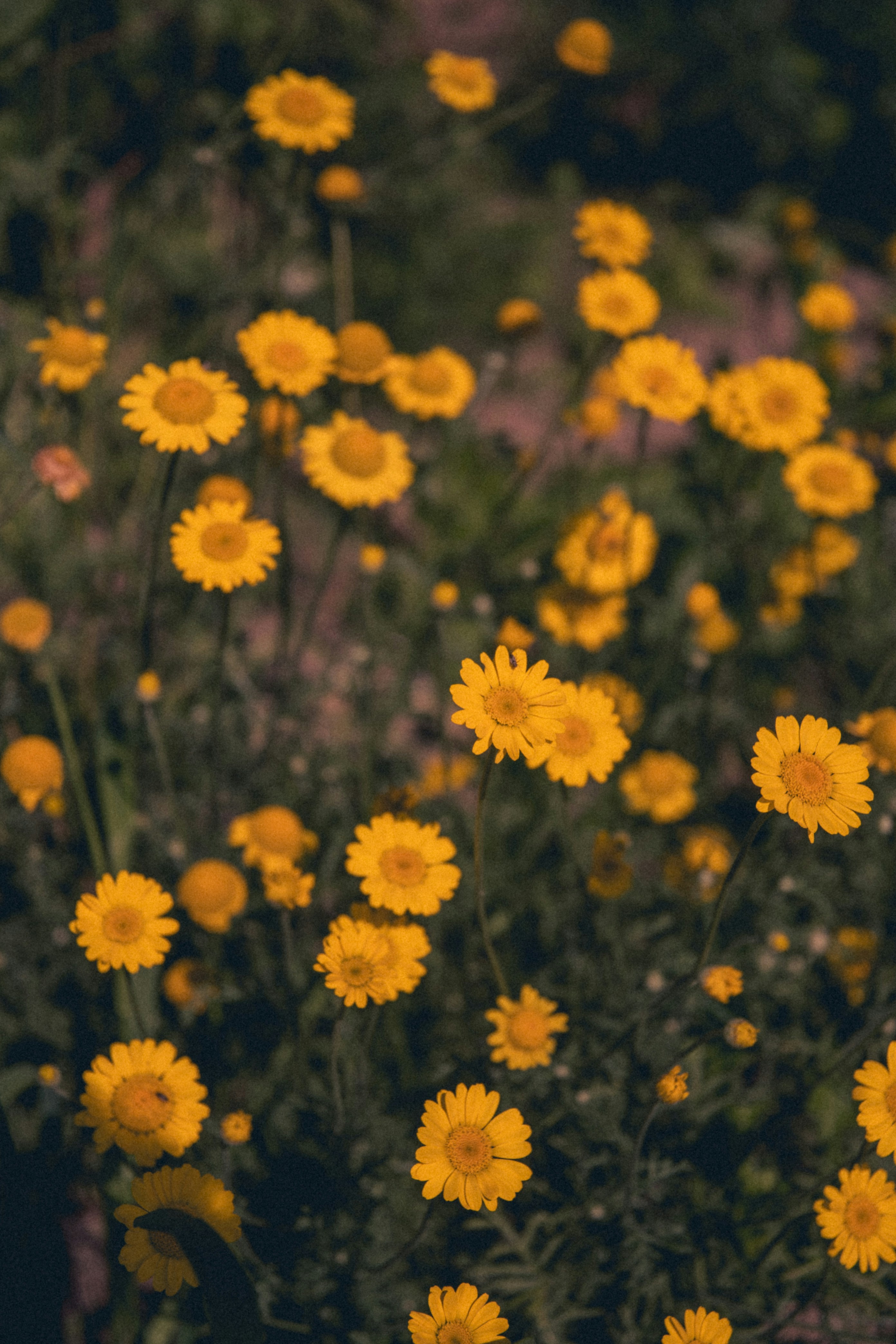 Photo by katerinalandia