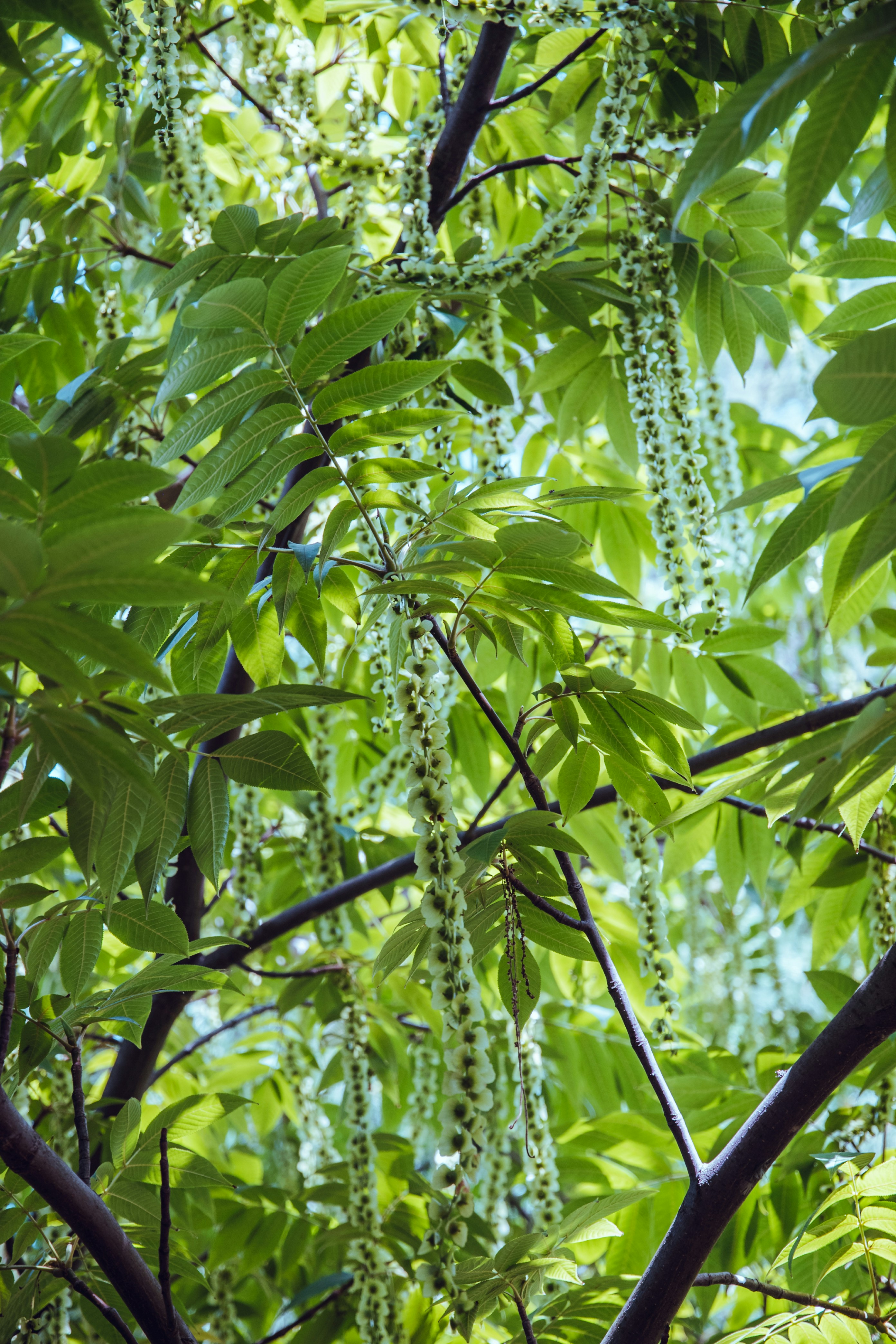 Photo by katerinalandia