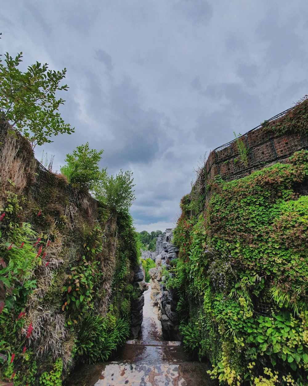 waterfall between green mountains