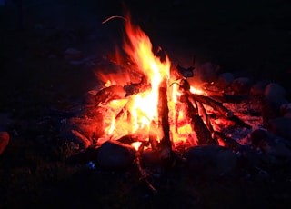 bonfire at night