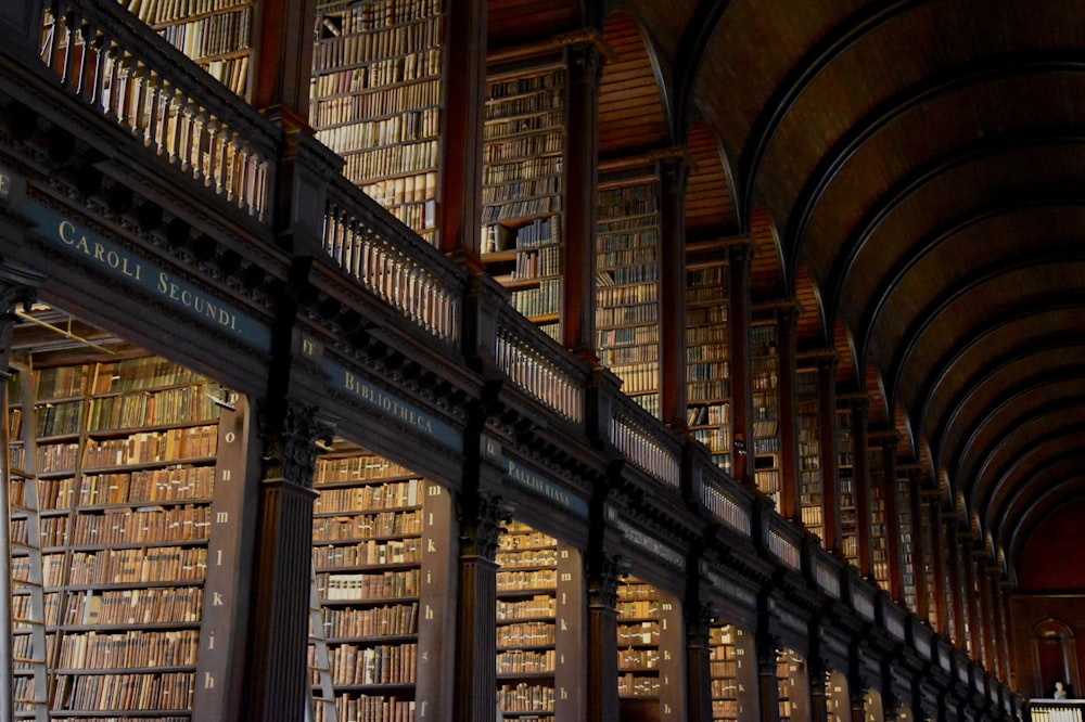 low-angle photography of library building