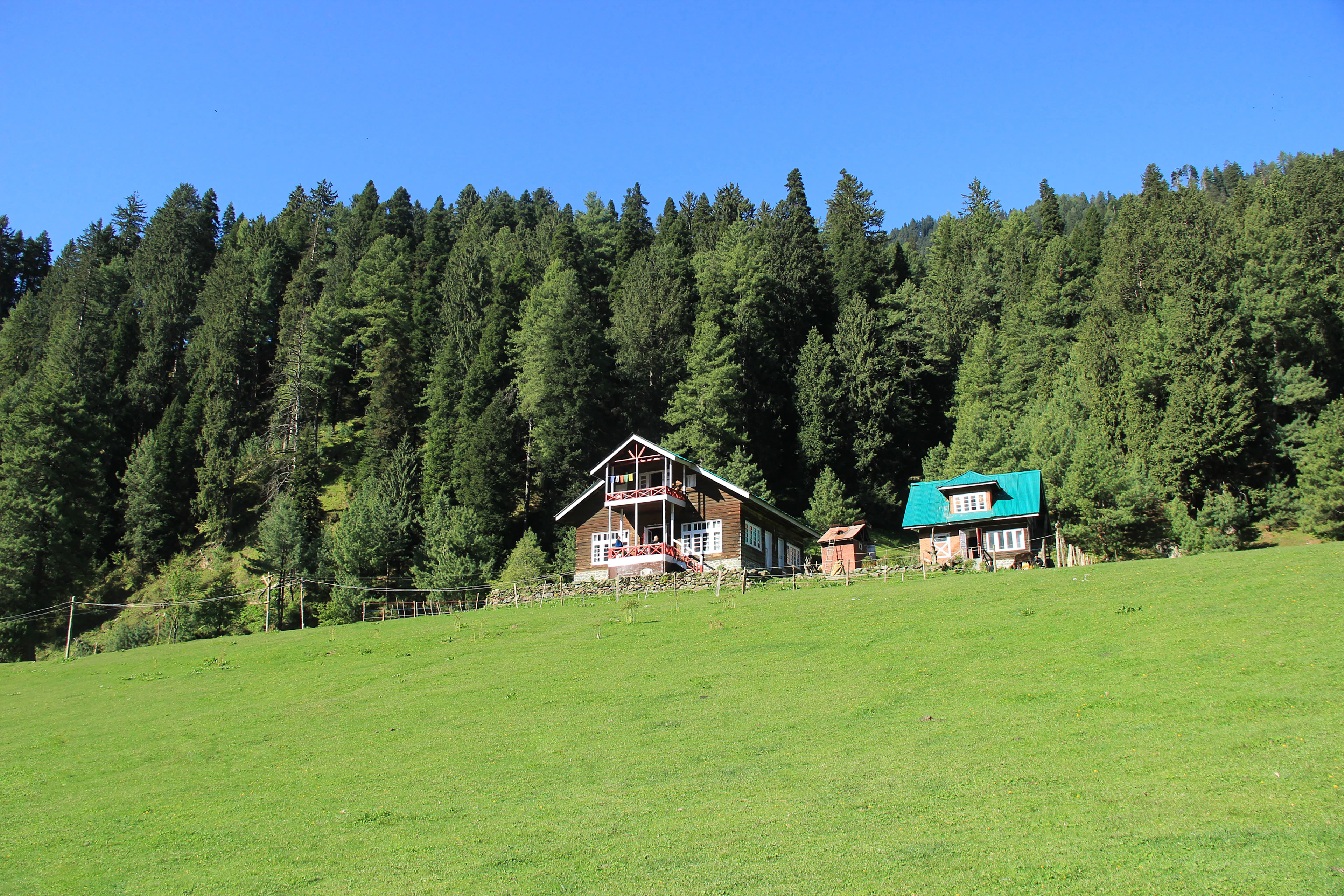 Two wooden houses among tall trees in Pahalgam