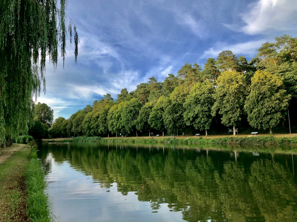 The image depicts a serene park scene with a calm, green river flowing through it. The river is surrounded by lush trees and bushes on both sides, creating a natural border for the waterway. On one side of the river, there are several benches where visitors can sit and enjoy the view. The sky above is blue with wispy clouds, suggesting a pleasant day. In the foreground, there's a tree with long, thin branches that extend outwards, adding depth to the scene.