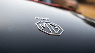 A close-up of the polished Enfield car badge shining in the sunlight.