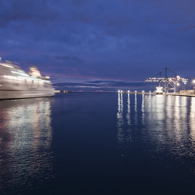 white cruise ship on calm body of water