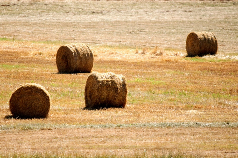 hay bales