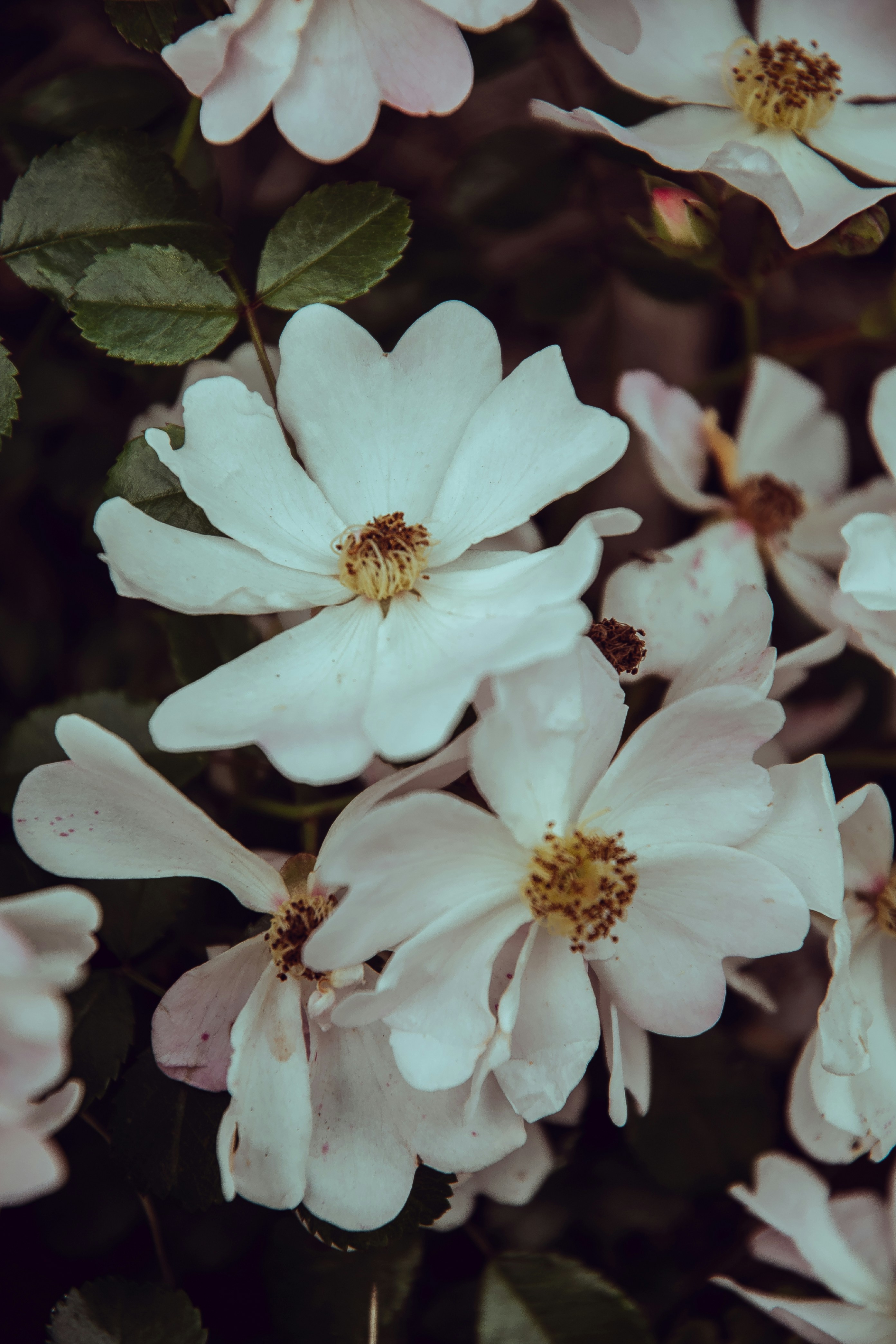 Photo by katerinalandia